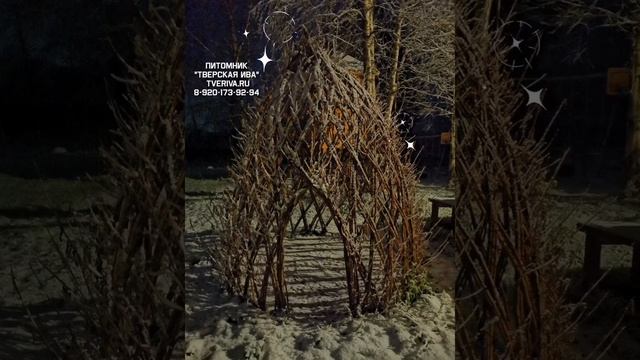 ❄️Ты рядом и всё прекрасно!❄️ Сказочный вечер в питомнике 