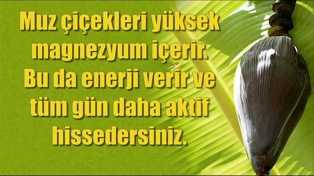 Çaresiz hastalıklara deva... Muz çiçeği kürünün inanılmaz faydaları