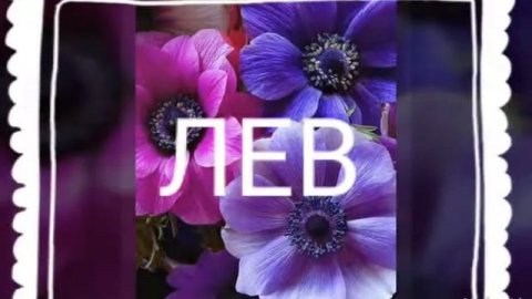 Какие цветы тебе идут по знаку зодиаку?