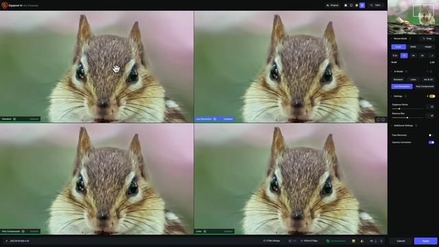 What's NEW in Gigapixel AI ver 6.2.0!