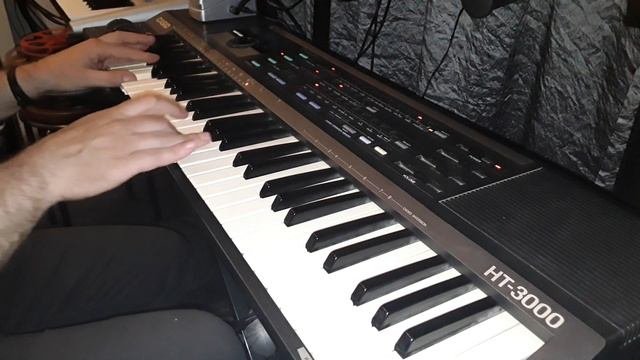 Casio HT-3000 Demo some sounds I made with casio