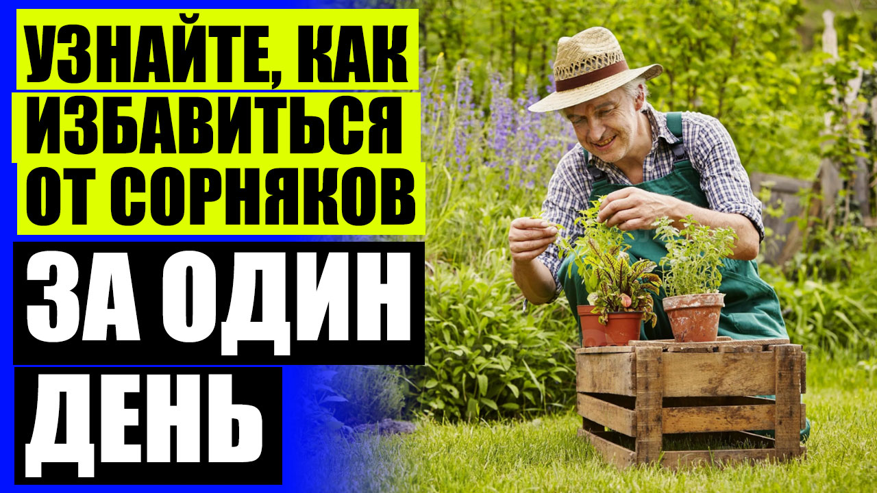 Гербициды пермь фото 💡 Отрава для сорняков на огороде купить цена