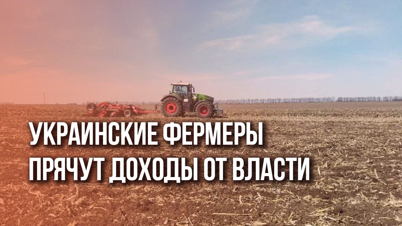 Сколько украинские фермеры украли у государства? И кто виноват? Видео
