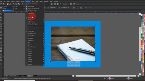 Corel draw 2017 class 95 bitmap menu straighten image edit bitmap crop bitmap resample Urdu/Hindi