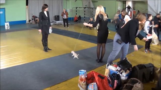 Выставка 28 марта