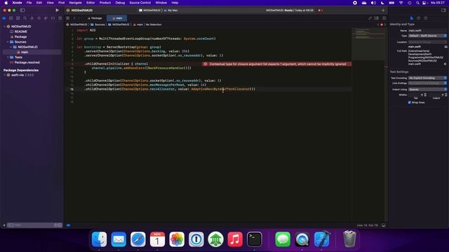 Swift NIO MUD tutorial - EP 01 - The Echo Server