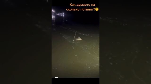 на сколько потянет