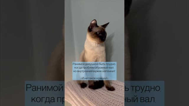 как там ваш внутренний мужик