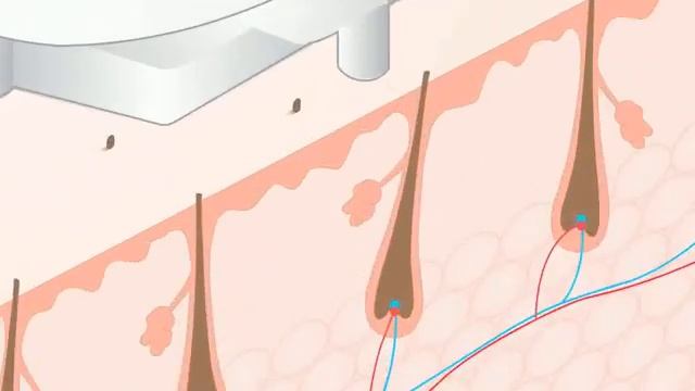 Rio IPL animation