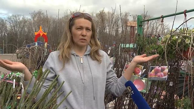 Рассада на продажу. Уфимский район
