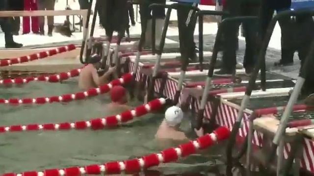 Этап кубка мира по зимнему плаванию Тюмень 2019