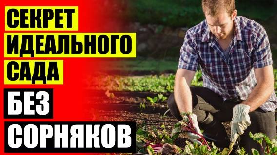 СРЕДСТВО ДЛЯ СОРНЯКОВ Ы СВЕТОФОРЕ