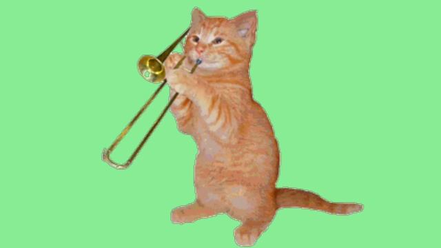 Кот играет на трубе