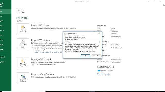 How to put password on MS excel file 2007/2010/2013/2016