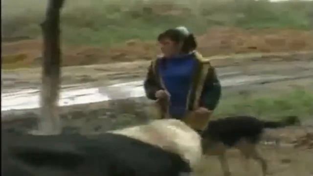 Такого наука предвидеть не могла...