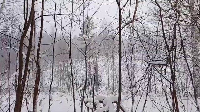 #9 Осеньяя прогулка по лесу часть 4(в поисках старой дороги закл-я.)