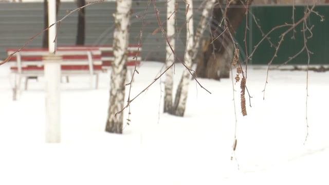 В Костанайской области ожидается резкое похолодание до -30 градусов и ниже