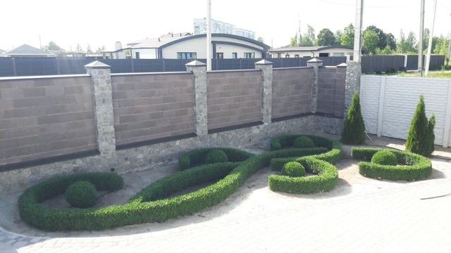 #мастерХУ #buxus #самшит #стрижкасамшита #топиарнаястрижкасамшита Топиарная стрижка Самшита.