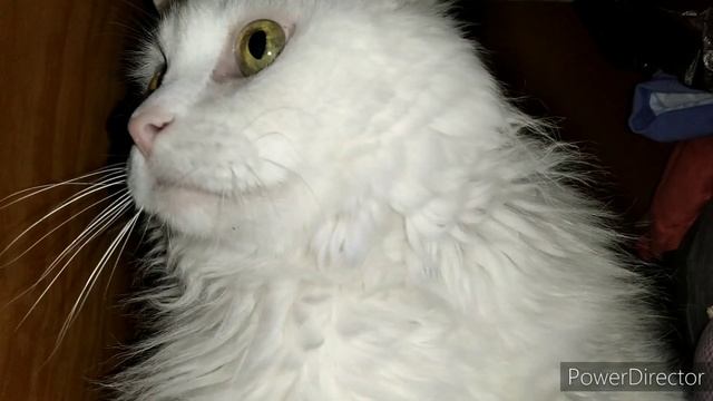 я закрывал дверь в шкафу и поставил скрытую камеру