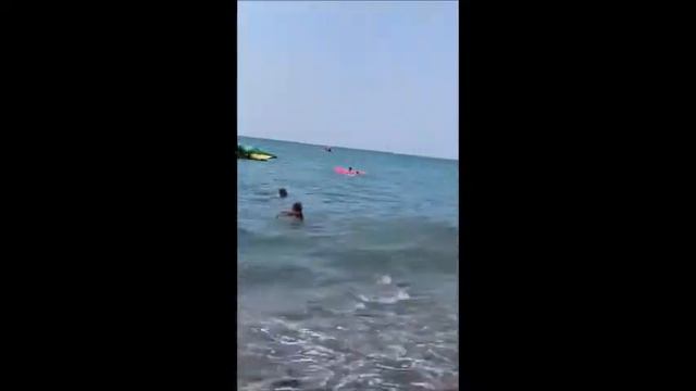 Самоеды на море) П-к Снежная Руссия +79163125530 (щенки Самоеда)