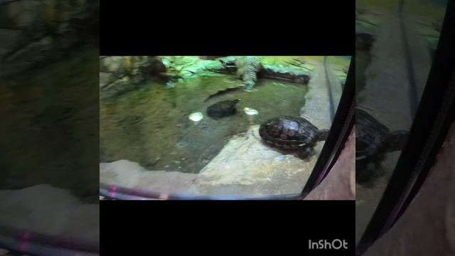 #нашдень#какпроходитнашдень