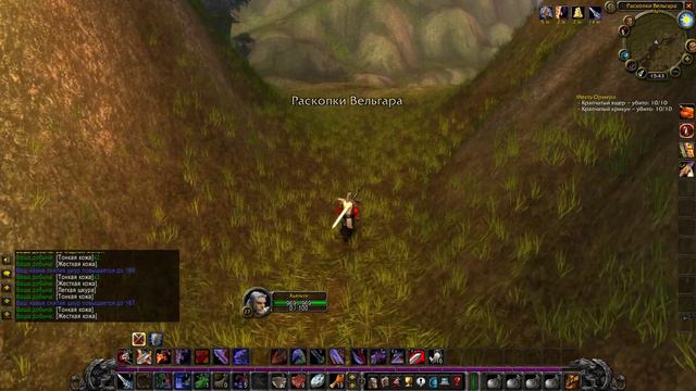 WoW Classic. Неспешная прокачка воина. ПВЕ-сервер. #12