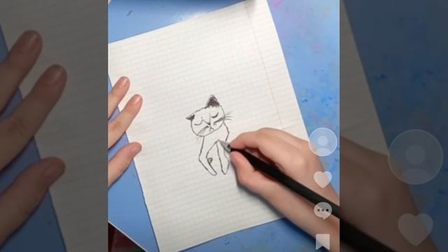 моя кошка Шанти?