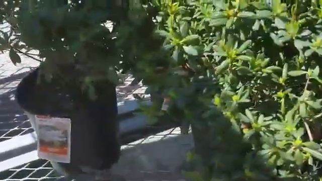 USA АПРЕЛЬ СМОТРИТЕ ГДЕ Я СЕГОДНЯ