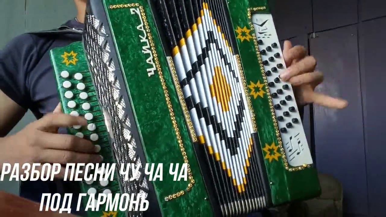 Моисей - разбор песни чу ча ча под гармонь