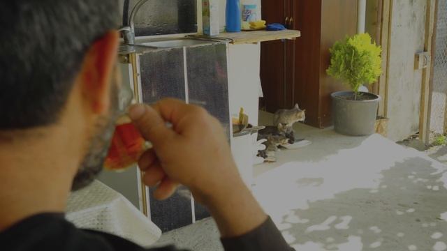 From the Chicken Market Bought 22 chickens 6 kg each | Chicken Meatball Soup Recipe!