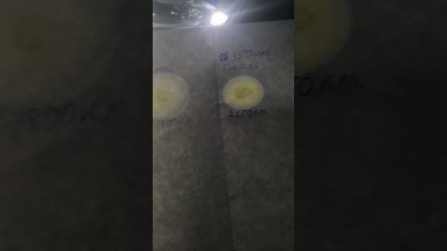 Тест капельной пробы по методике Shell. Ауди А4 В9 проехала на минералке 2200 км. с последней замены