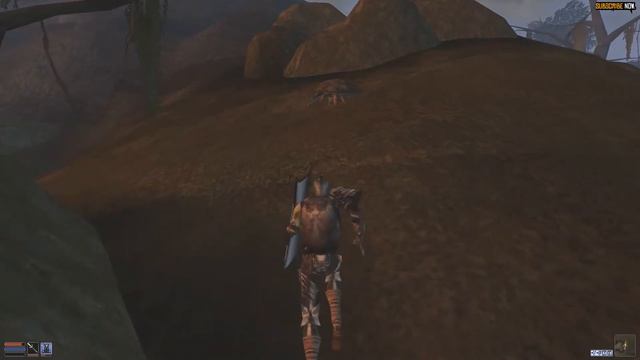 Blade-Guard, custom warrior build in Morrowind