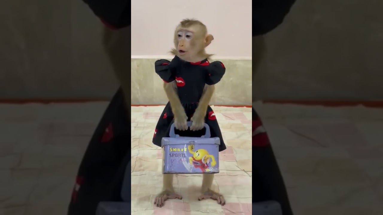 #shortsvi