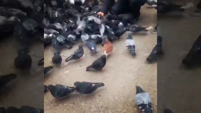 Даниил сын. Я скучаю по тебе. Я люблю тебя сына.