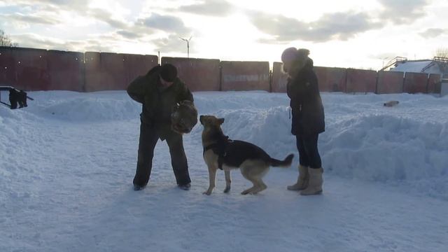 Веолар Енчар   Защита