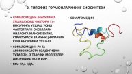 Оқсил гормонларининг биосинтези