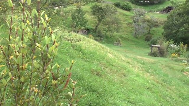 Хоббитон Новая Зеландия. Hobbiton New Zealand