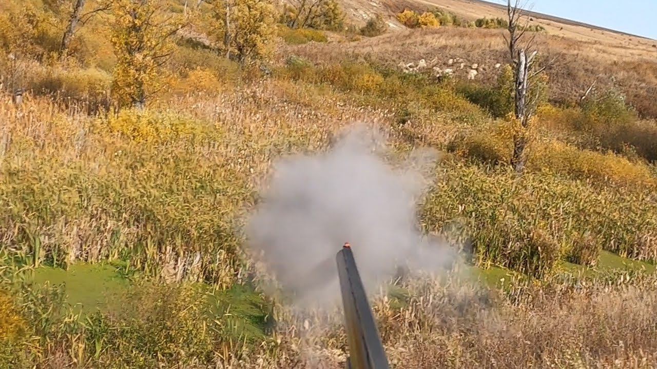 Охота на Утку В нашем полку Прибыло
