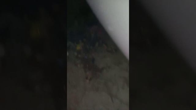заброшенное здание  бугульма