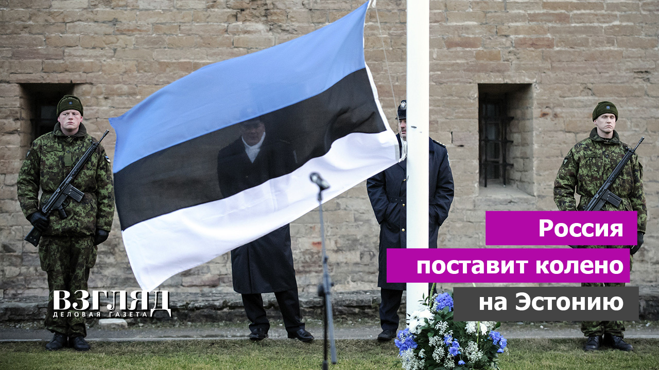 Эстония хочет «поставить Россию на колени». Кто такой Алар Карис. Президент, эстонец, ученый и идиот