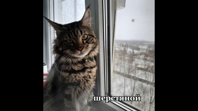 VID_20220820_201756_997.mp4