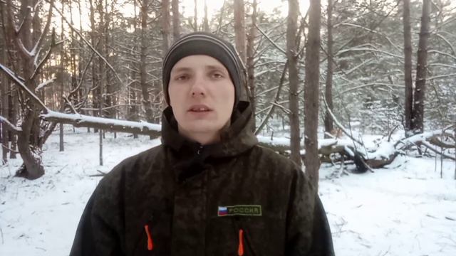 что делать если вы заблудились в лесу (личное мнение).