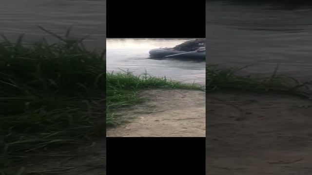 Трое в лодке и пенёк)))