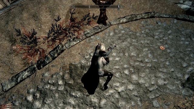 SKYRIM -UNP...made with  Magic  by Wolf Totem