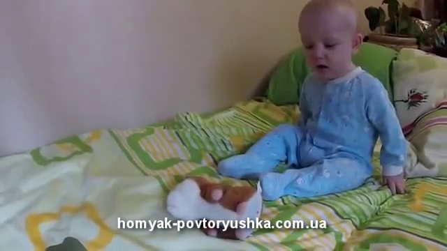 Говорящий повторюшка-хомячок с  http://homyaki.org/p_tag/woody-otime/