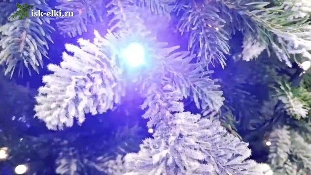 Искусственная комбинированная ель Блистательный триумф  Магазин Isk-elki.ru