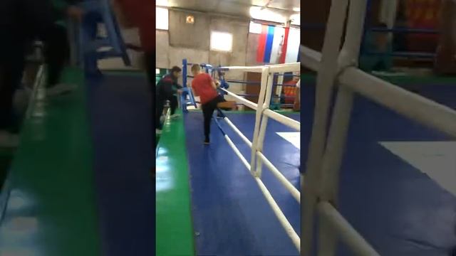 VID 20190223 133626