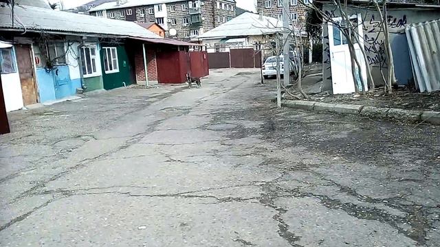 Собака воет когда гудят поезда