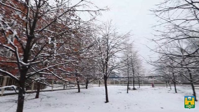 Новогодний Хасавюрт