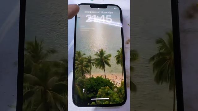 iPhone 13 Pro - После того как поднял дисплей проверка на целостность дисплея